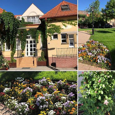 Tulipan Villa Panzio Szolnok Exteriér fotografie