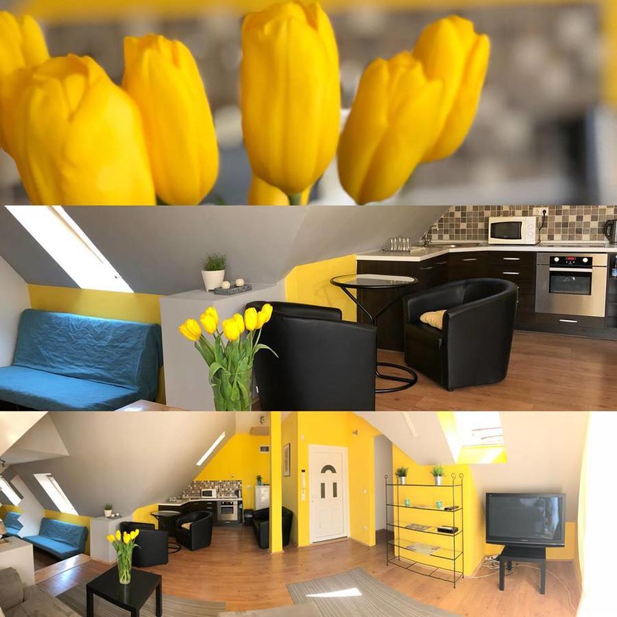 Tulipan Villa Panzio Szolnok Exteriér fotografie