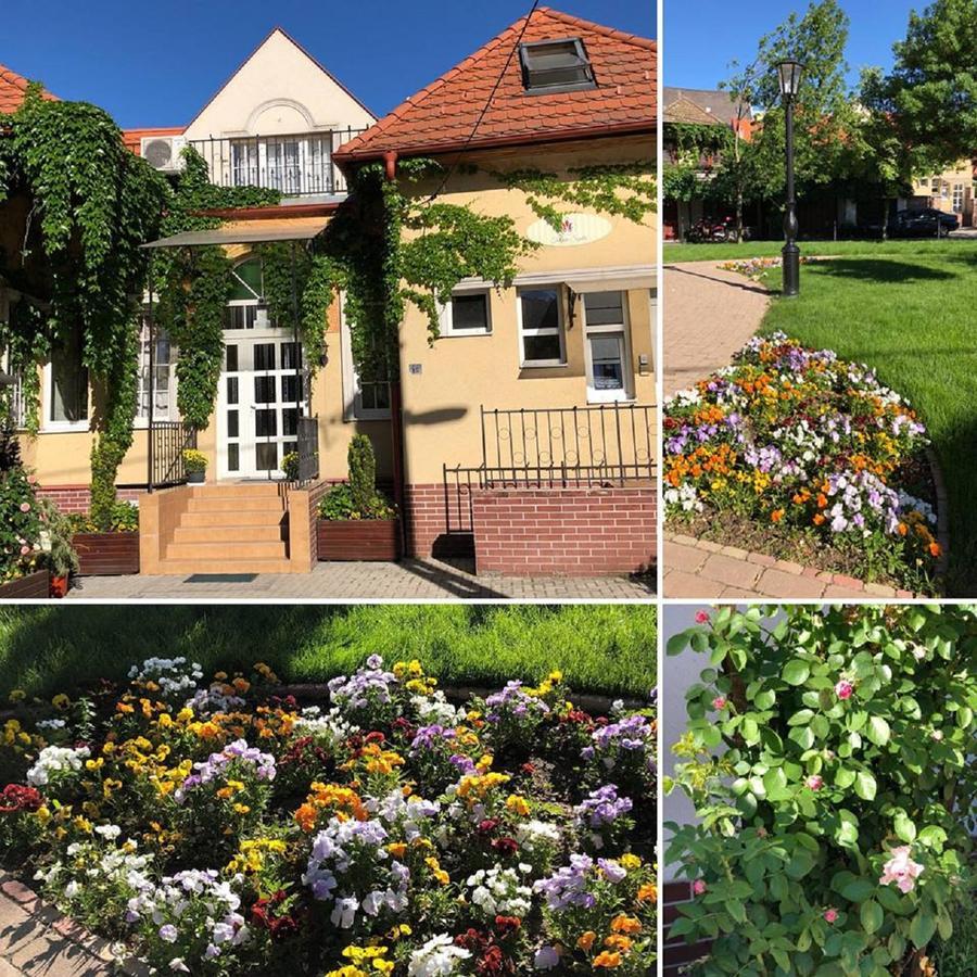 Tulipan Villa Panzio Szolnok Exteriér fotografie